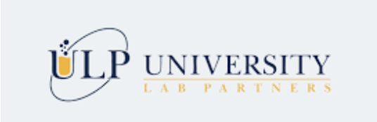 Snipaste_2026-02-09_11-06-16